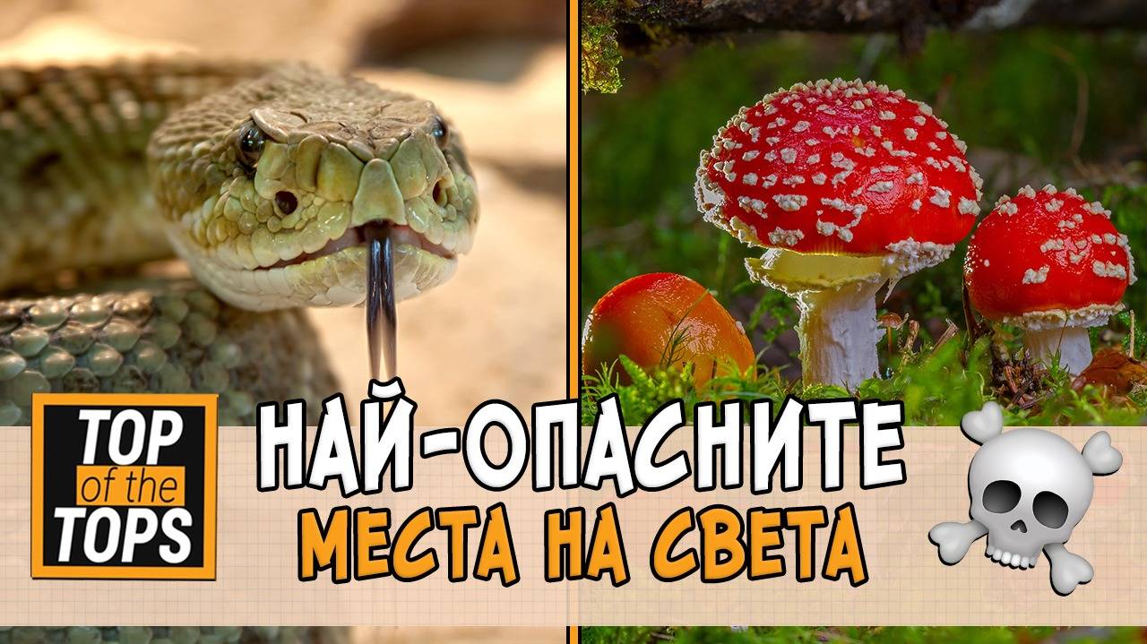Топ 5 места, на които не трябва да стъпва човешки крак
