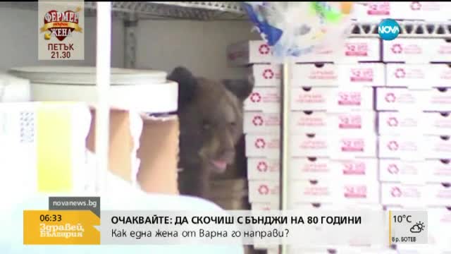 Мече се скри в пицария в Колорадо