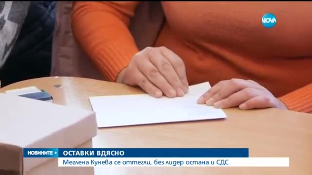 Меглена Кунева подаде оставка
