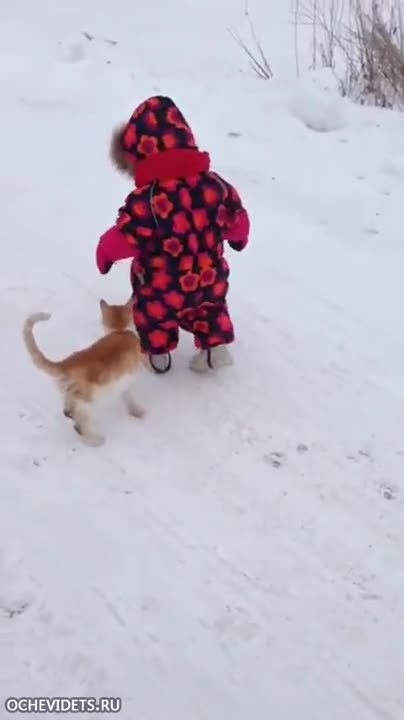 Котка с непредсказуема хватка , към малко дете
