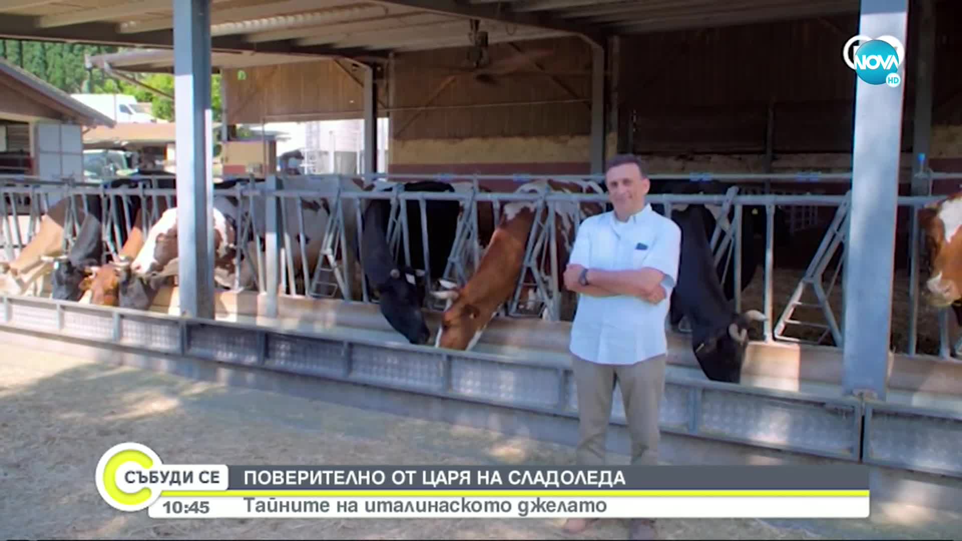 ПОВЕРИТЕЛНО ОТ ЦАРЯ НА СЛАДОЛЕДА: Тайните на италинаското джелато
