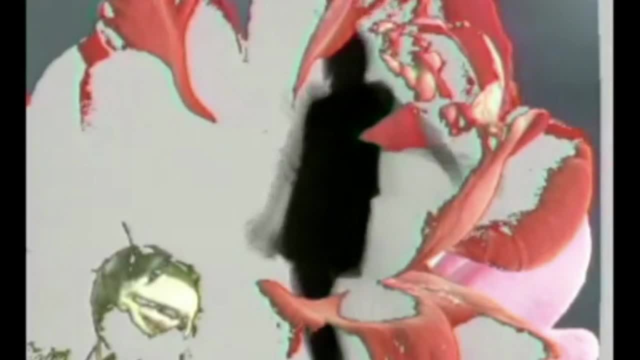 Sinan Sakic i Juzni Vetar - Ruza i trn (studiommi Video) - Prevod