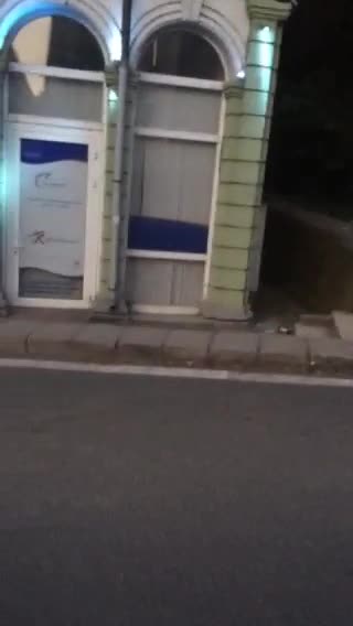 Лисица в центъра на Ловеч