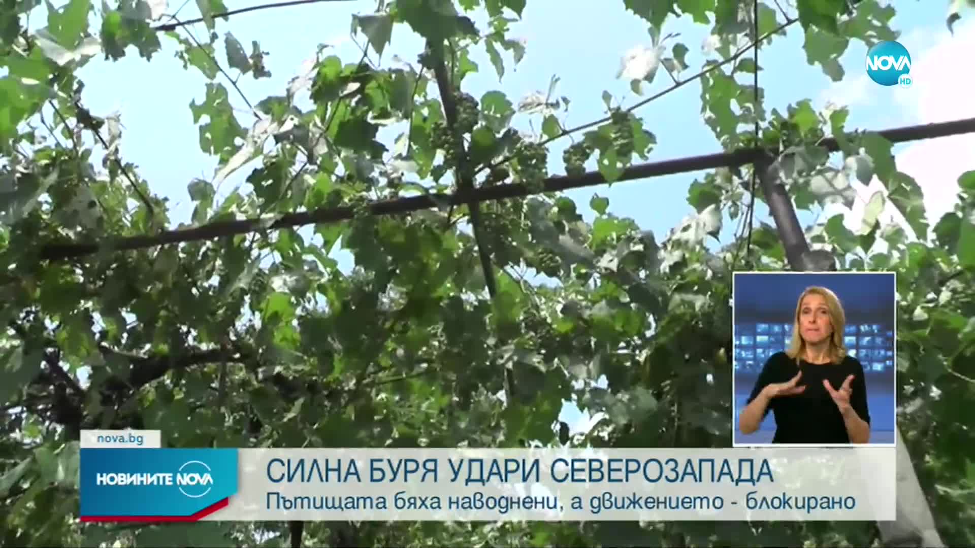 Новините на NOVA (19.07.2021 - лятна късна емисия)