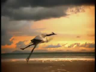Flight - General Electric