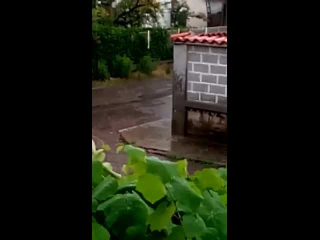 "Моята новина": Порой и градушка в кв. "Требич"