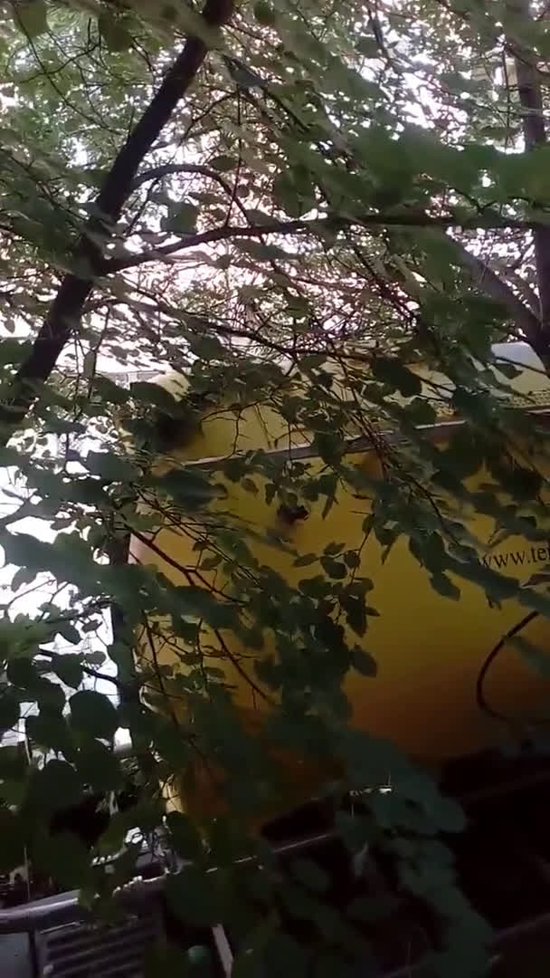 Счупено дърво