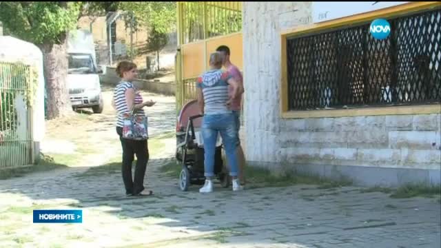 Вълк избяга от зоопарка в Благоевград