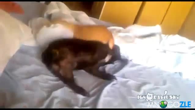 Много коварен убиец!