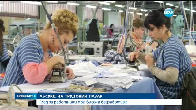 До 60 000 българи годишно напускат страната, търсят работа в чужбина