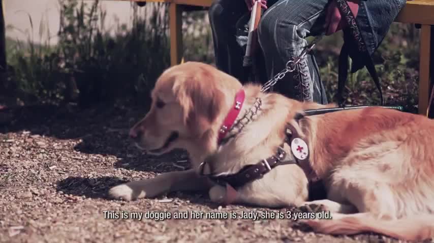 10 молби на кучето водач
