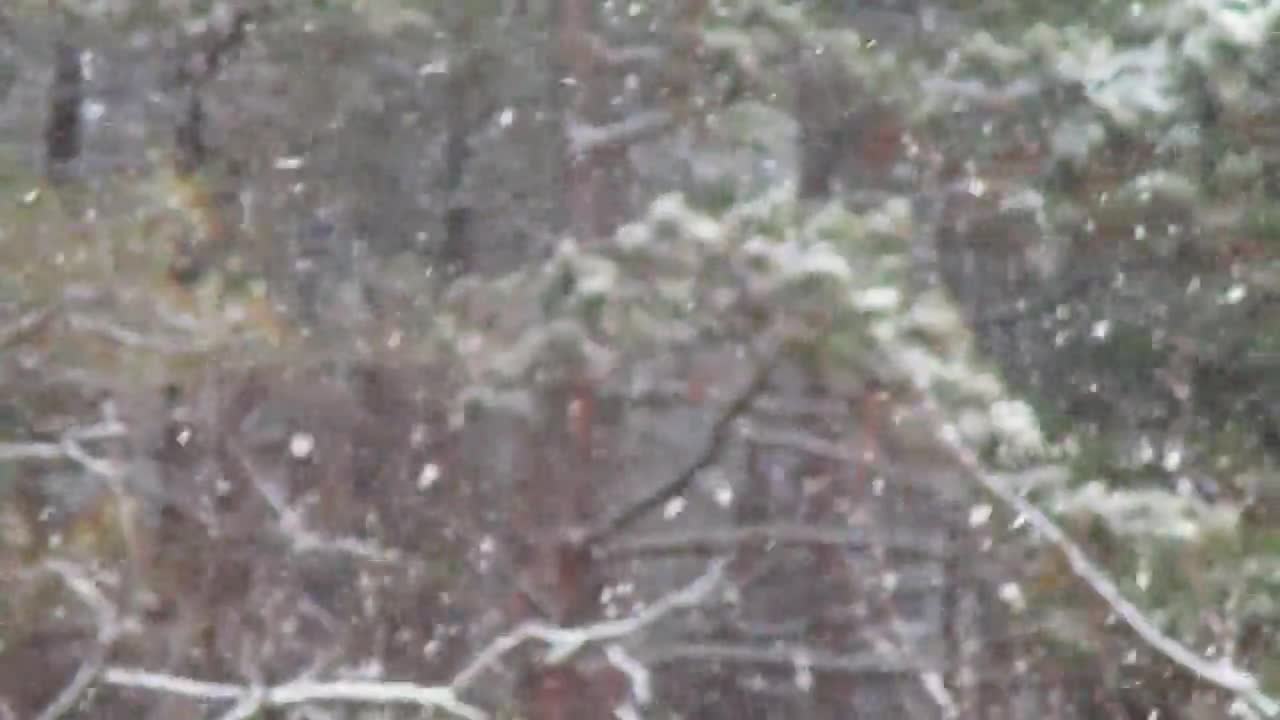 Танцът на снежинките