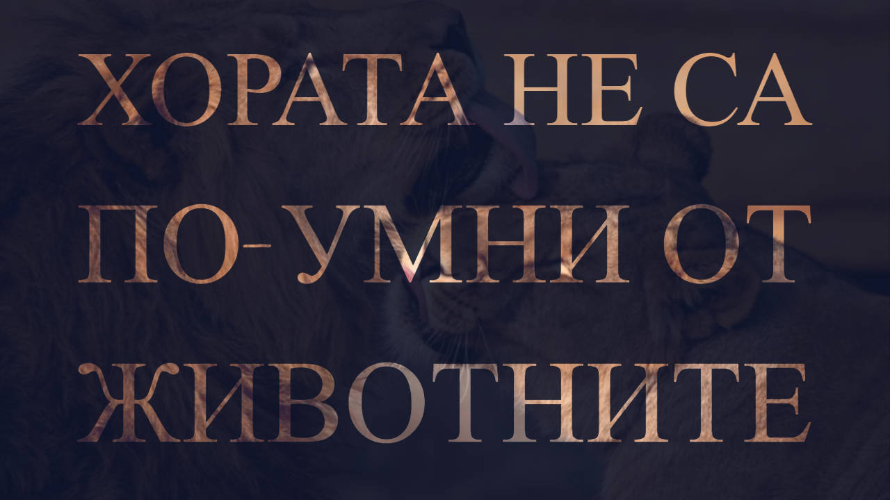 Хората не са по-умни от животните