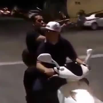 Като чуеш този звук си представяш едно, а като го видиш се оказва съвсем друго!