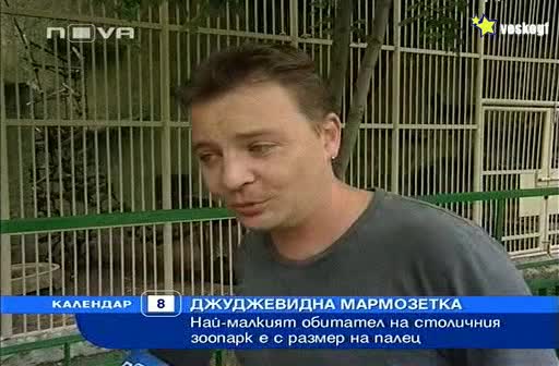 Уникално ! Най - малкият обитател на столичния Зоопарк е с размер на палец !
