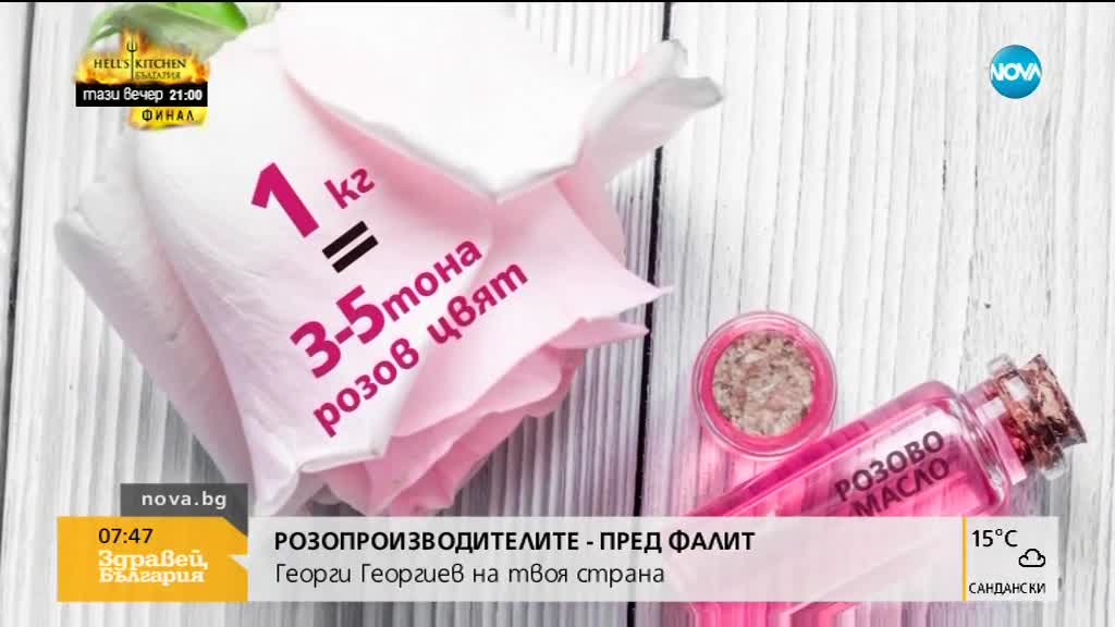 БУНТЪТ НА РОЗИТЕ: Пред провал ли е розоберът?