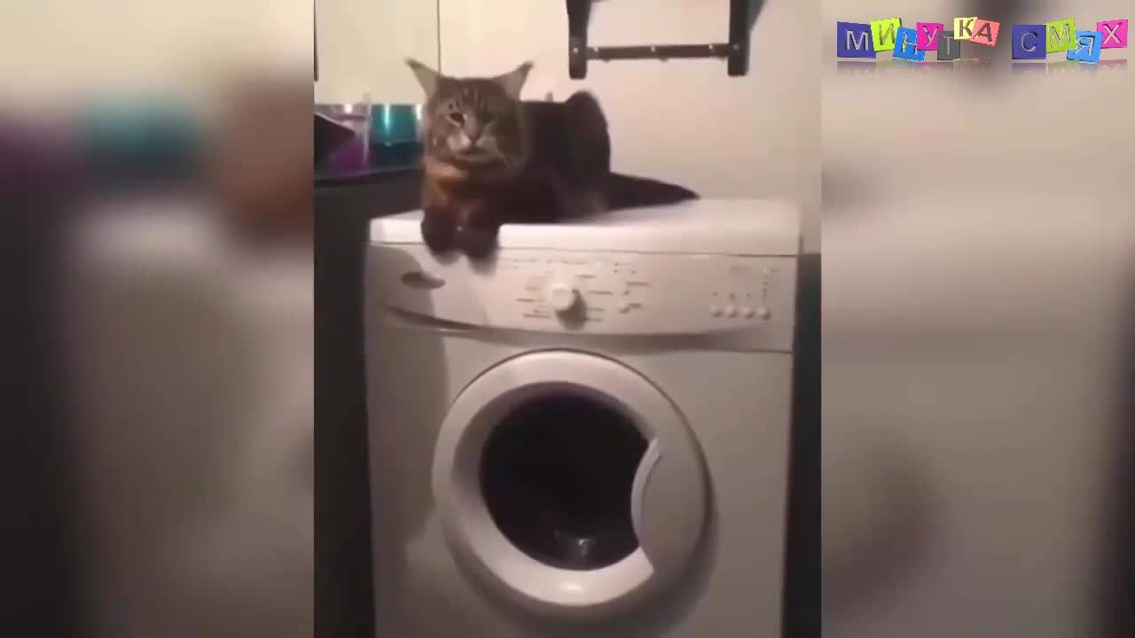 Минутка уникални изцепки за добро настроение!
