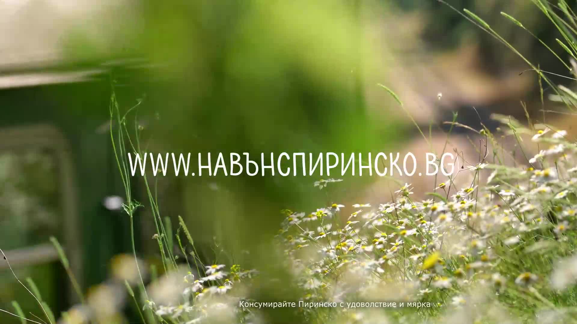 Pirinsko_Tesnolineika_32s_HD_UF.