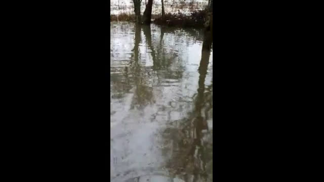 "Моята новина": Наводнение в Перник