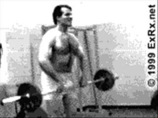 Фитнес - Рамо