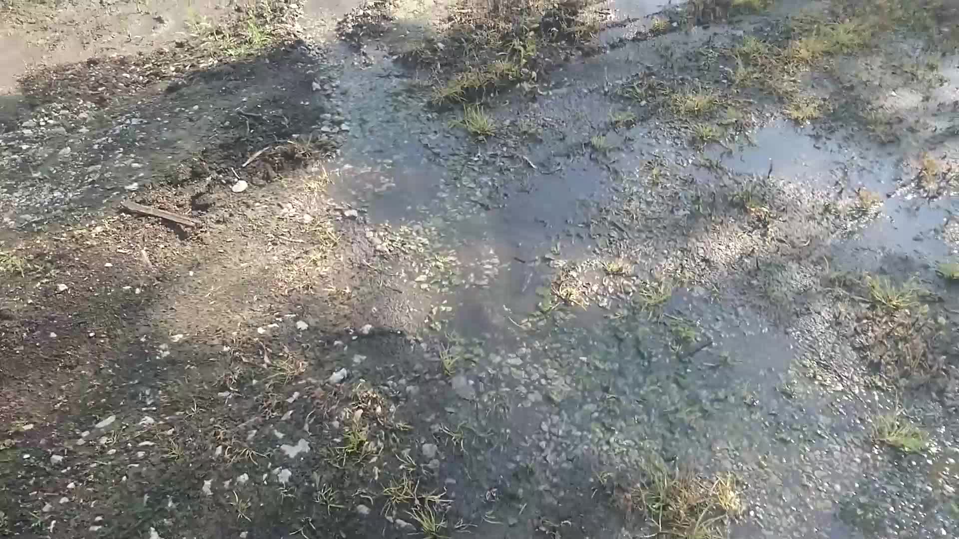 Постоянно наводняване от общинско място на частен двор