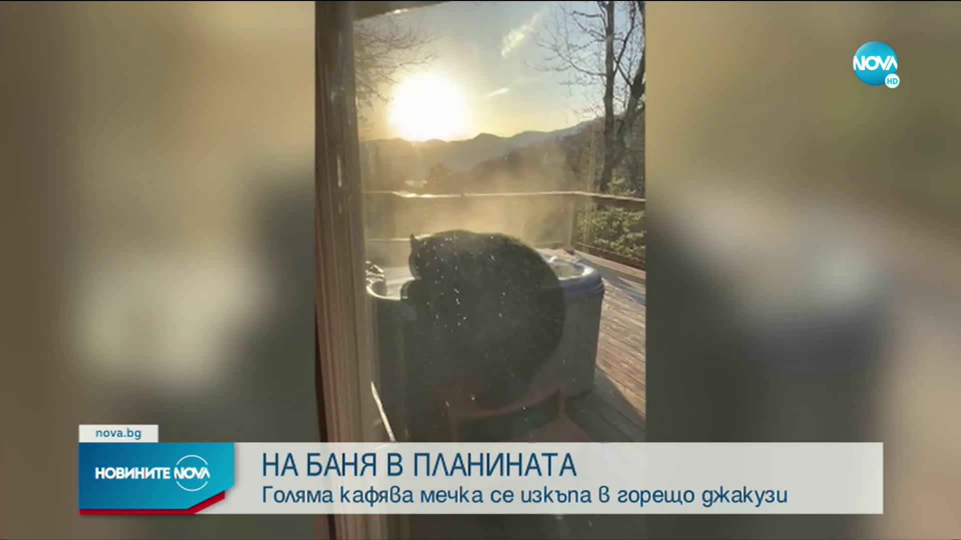НЕОБИЧАЙНИ СПА ПРОЦЕДУРИ: Мечка се изкъпа в горещо джакузи