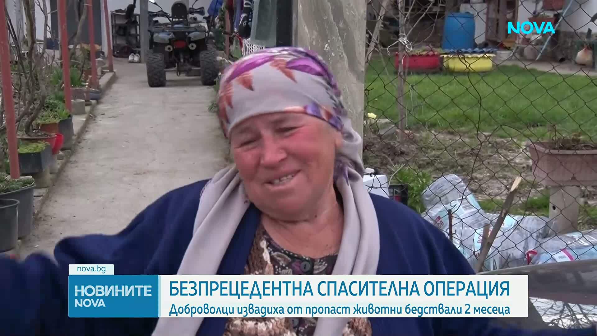 Спасиха овца и новородено агне от 400-метрова пропаст в Кърджалийско