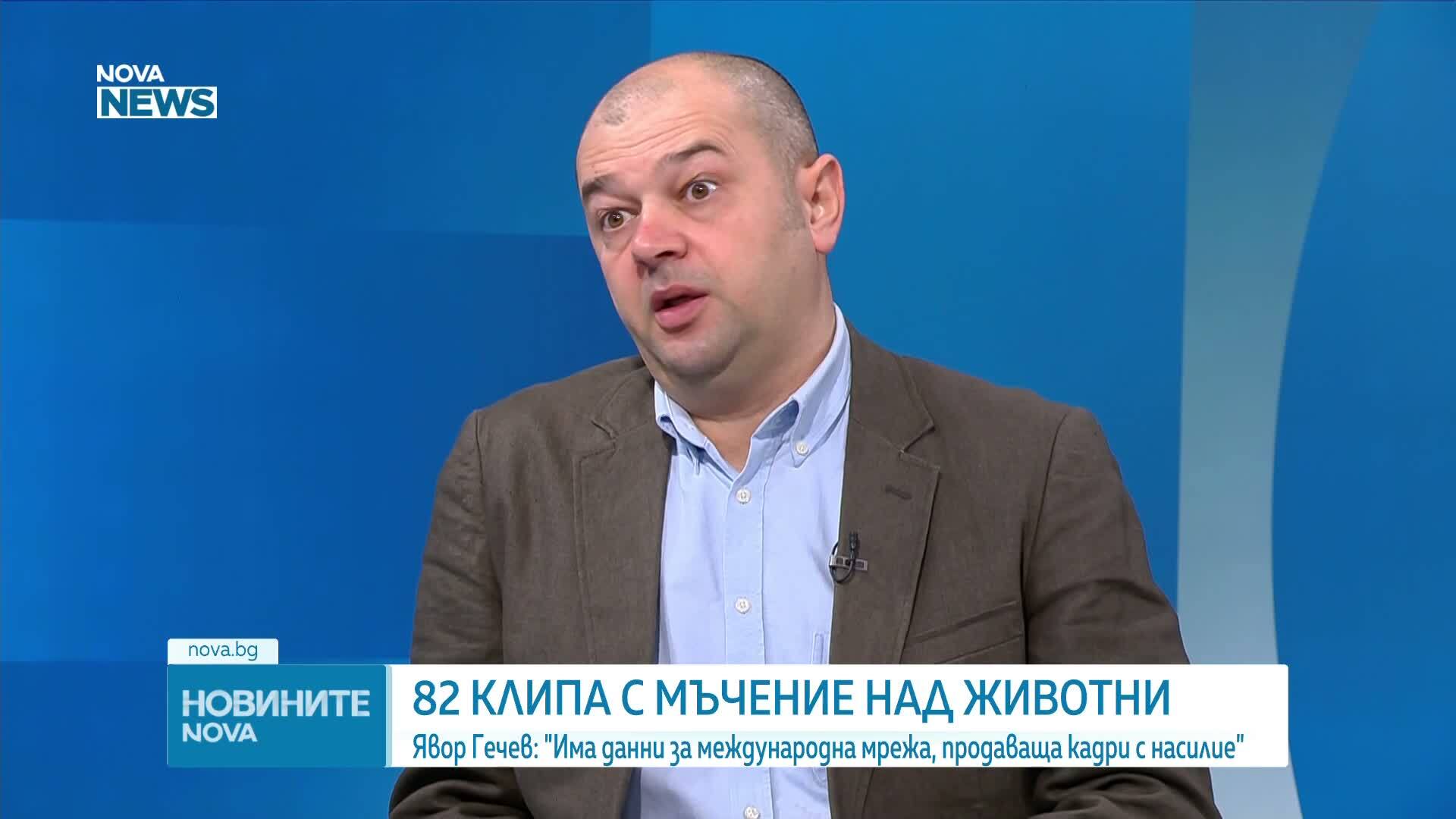 Явор Гечев за мъчителите на животни: Тези хора са изпечени убийци и садисти, няма да получат снизходителна присъда