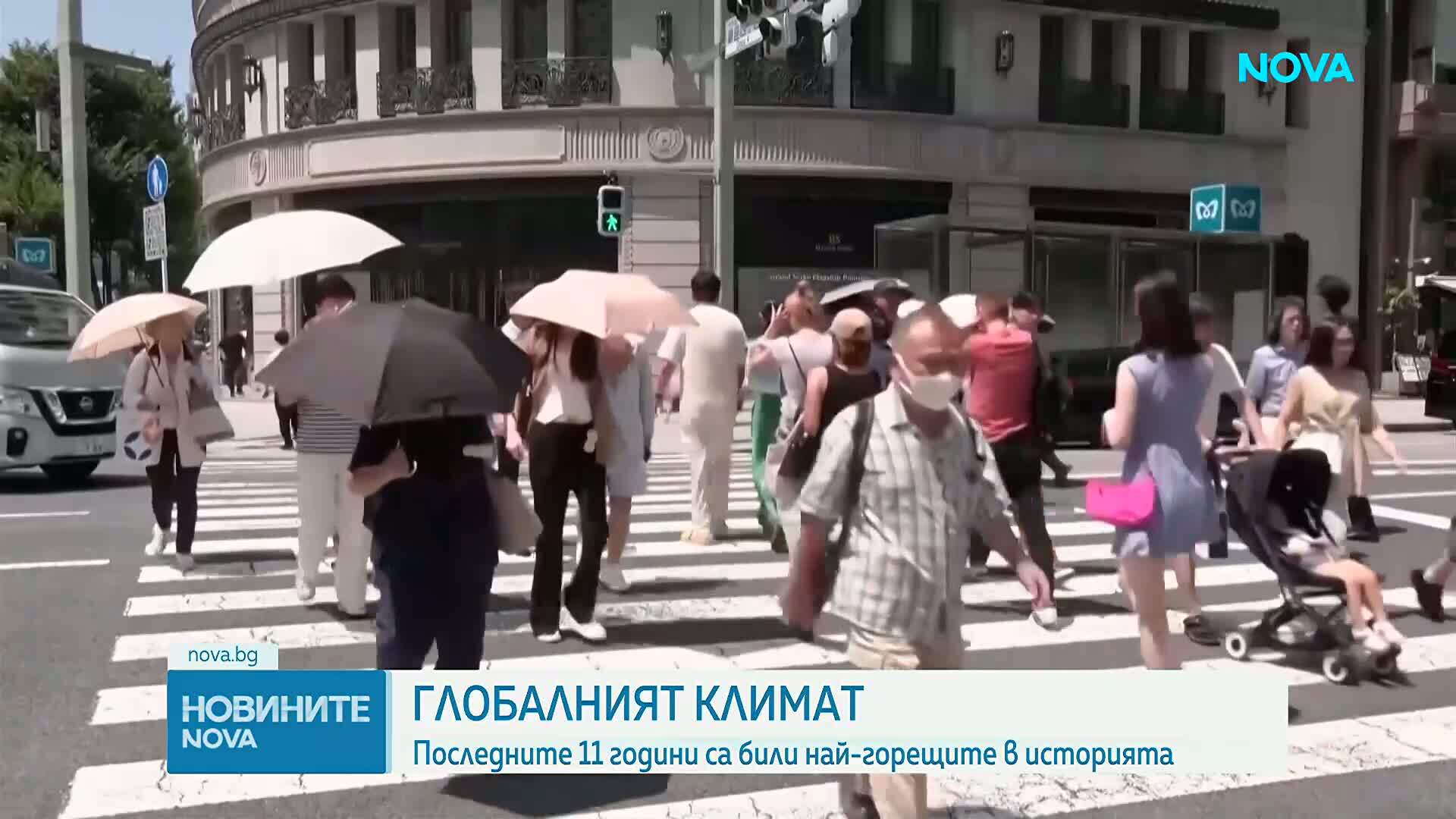 Световната метеорологична организация: Последните 11 години са най-горещите от 1850 г. насам
