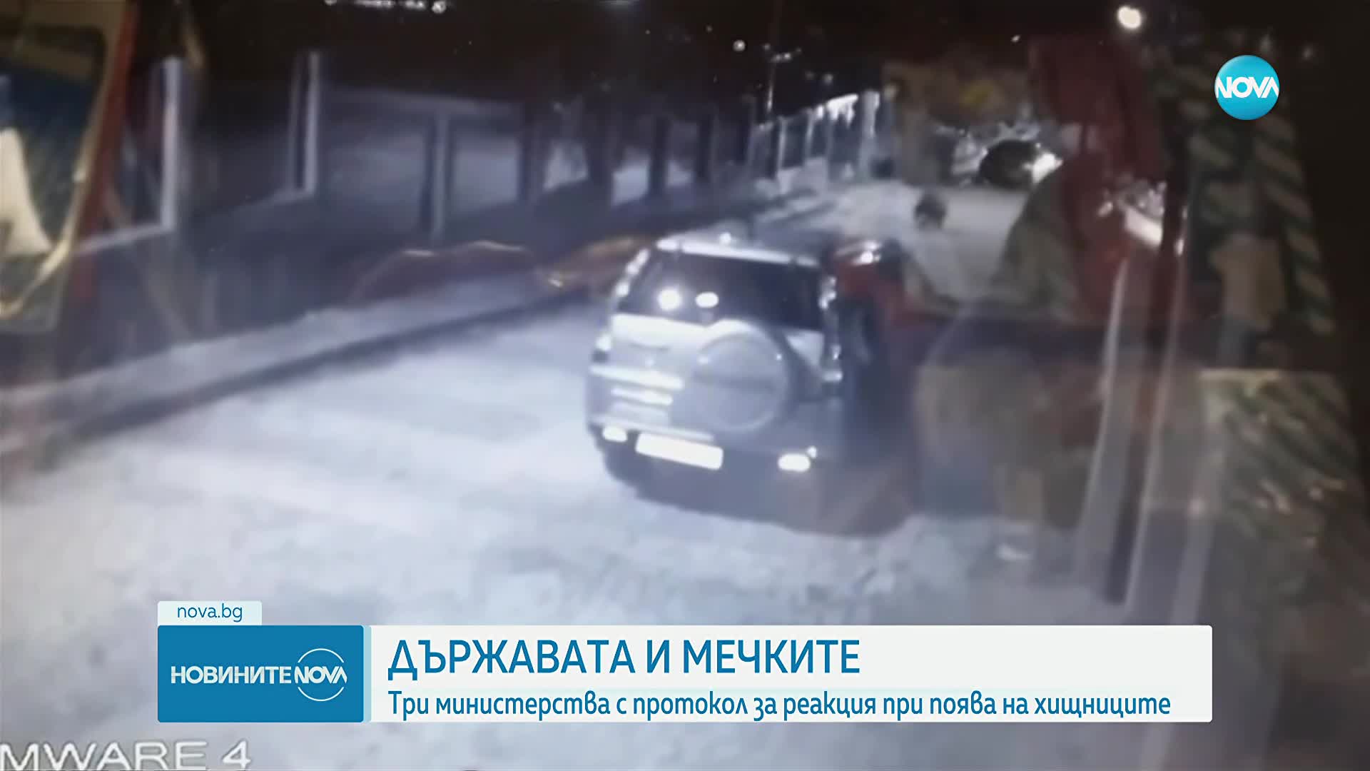 Експерт: Пейте и бъдете шумни в гората, за да избегнете среща с мечка