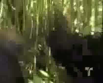 Зоро Шпагата И Розата - Епизод 109