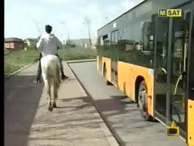 Господари На Ефира - Не Се Губете