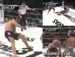 Russian Pride - Fedor, Alexander, Roman