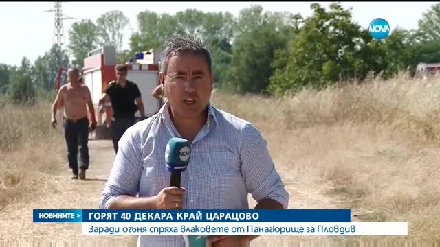 Новините на Нова (11.07.2016 - централна емисия)