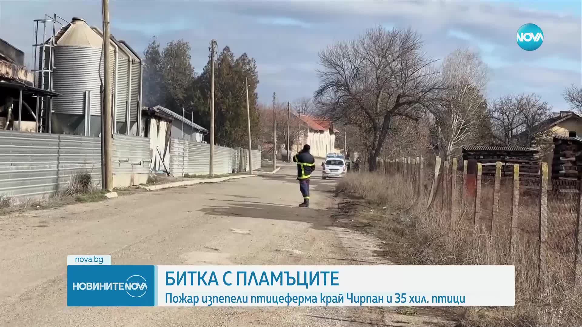 35 000 пилета изгоряха при пожар в птицеферма в Старозагорско