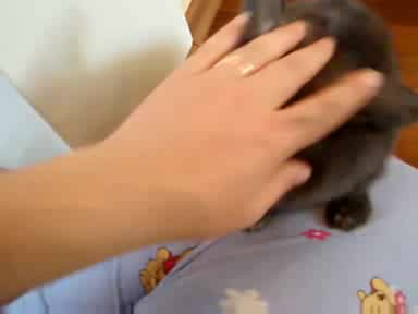 Бъфи Си Играе!