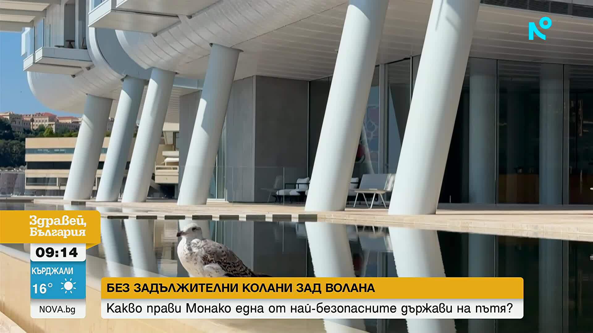 Монако – държавата без задължителни колани, но с едни от най-строгите наказания за шофьорите