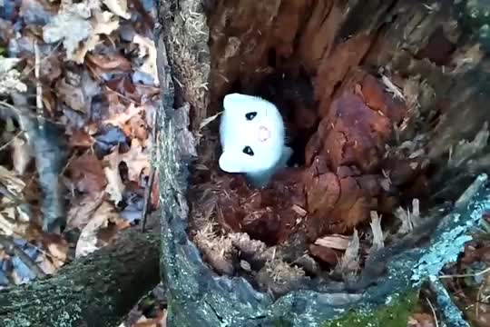 Сладка бяла невестулка!