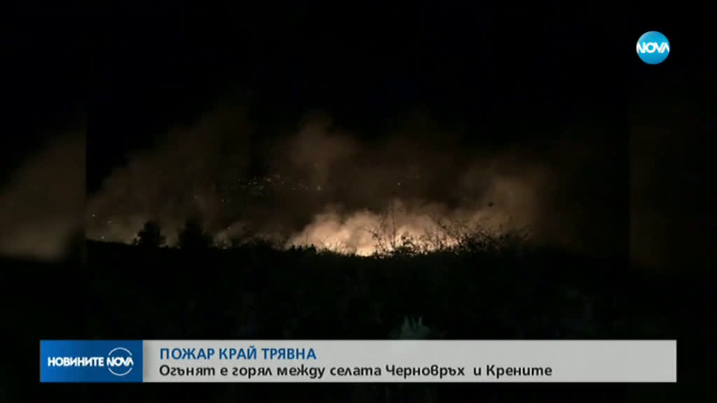 Новините на NOVA (14.11.2019 - 6.30 ч.)