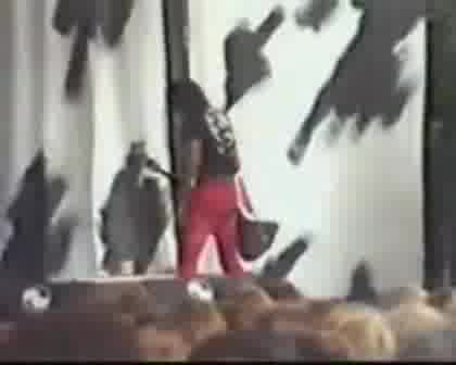 Nirvana - School & Breed Live Germany