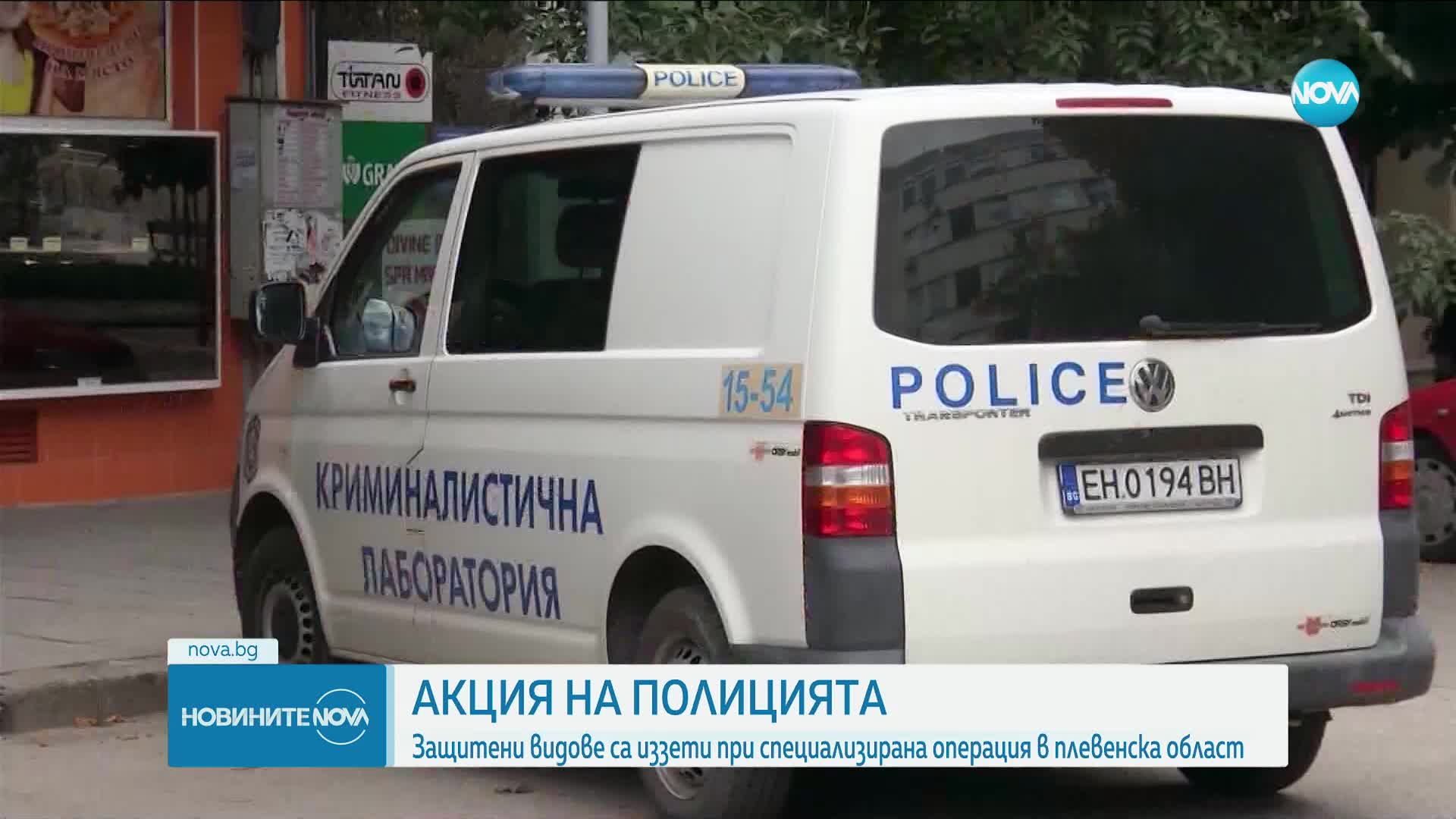 17 живи и препарирани животни от защитени видове са открити в частни имоти в Плевенско