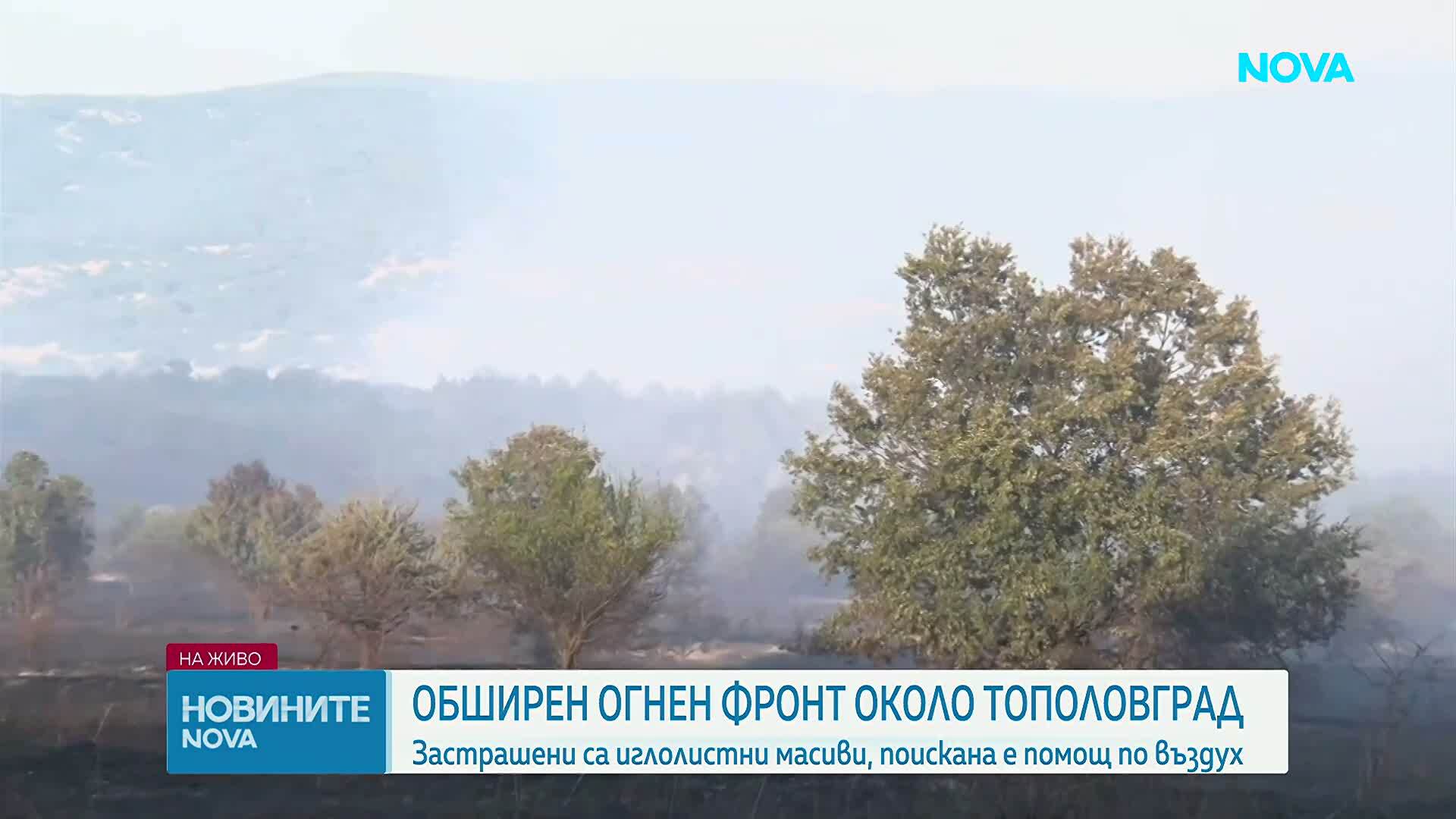 Пожари в Тополовградско и в Пазарджишко