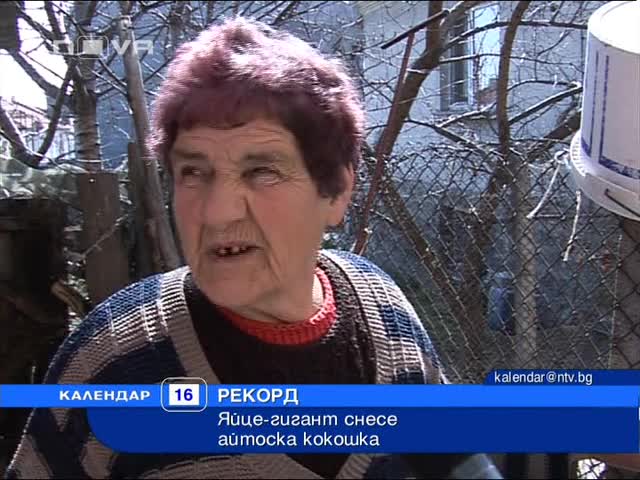 Яйце–гигант снесе айтоска кокошка 