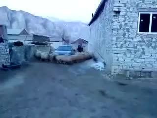 Най - откачените овце които сте виждали :d