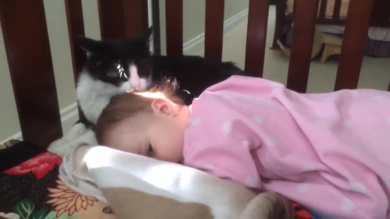 Котка , грижища се за чистотата на бебето !