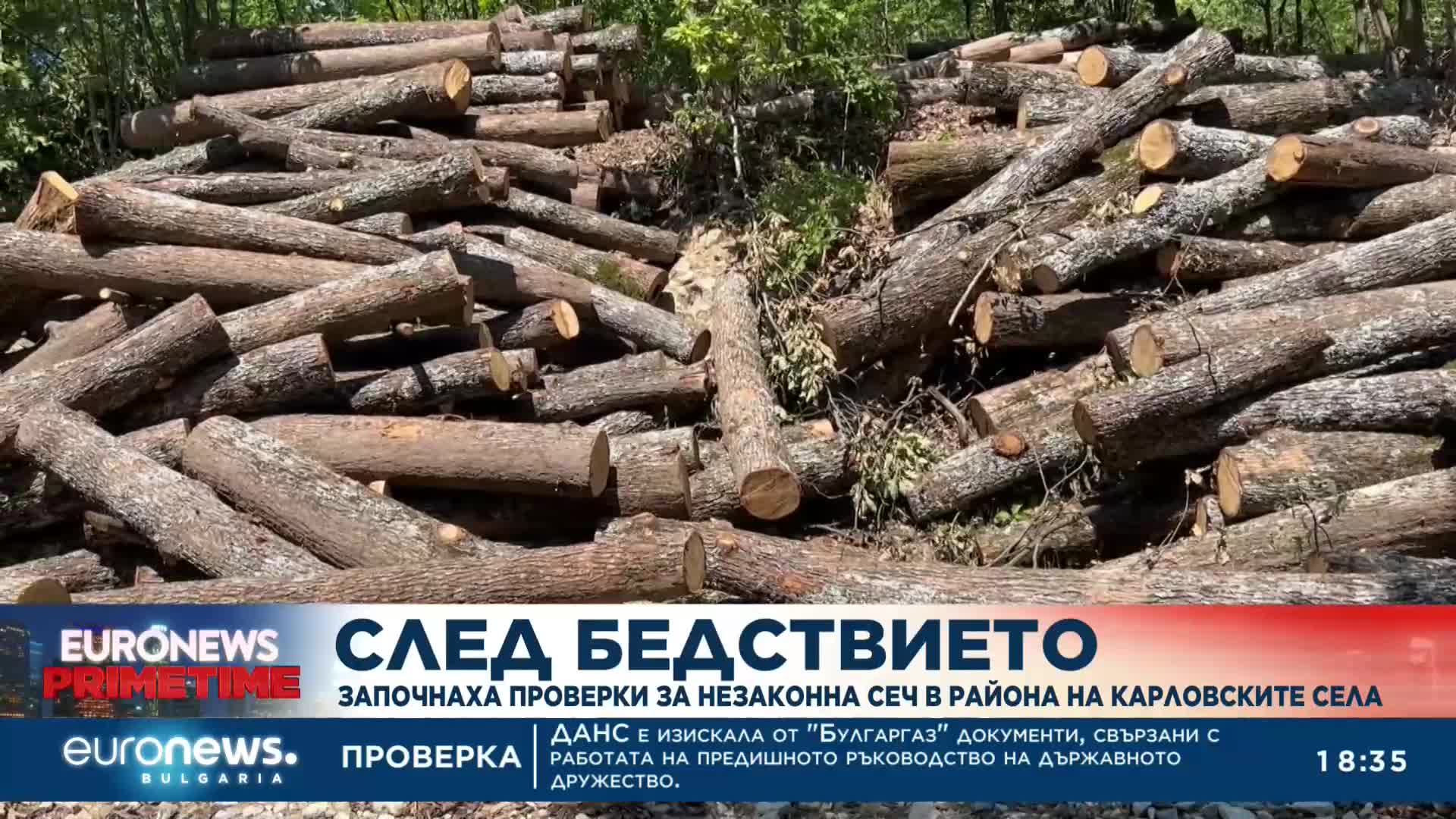 След бедствието: Започнаха за незаконна сеч в района на Карловските села