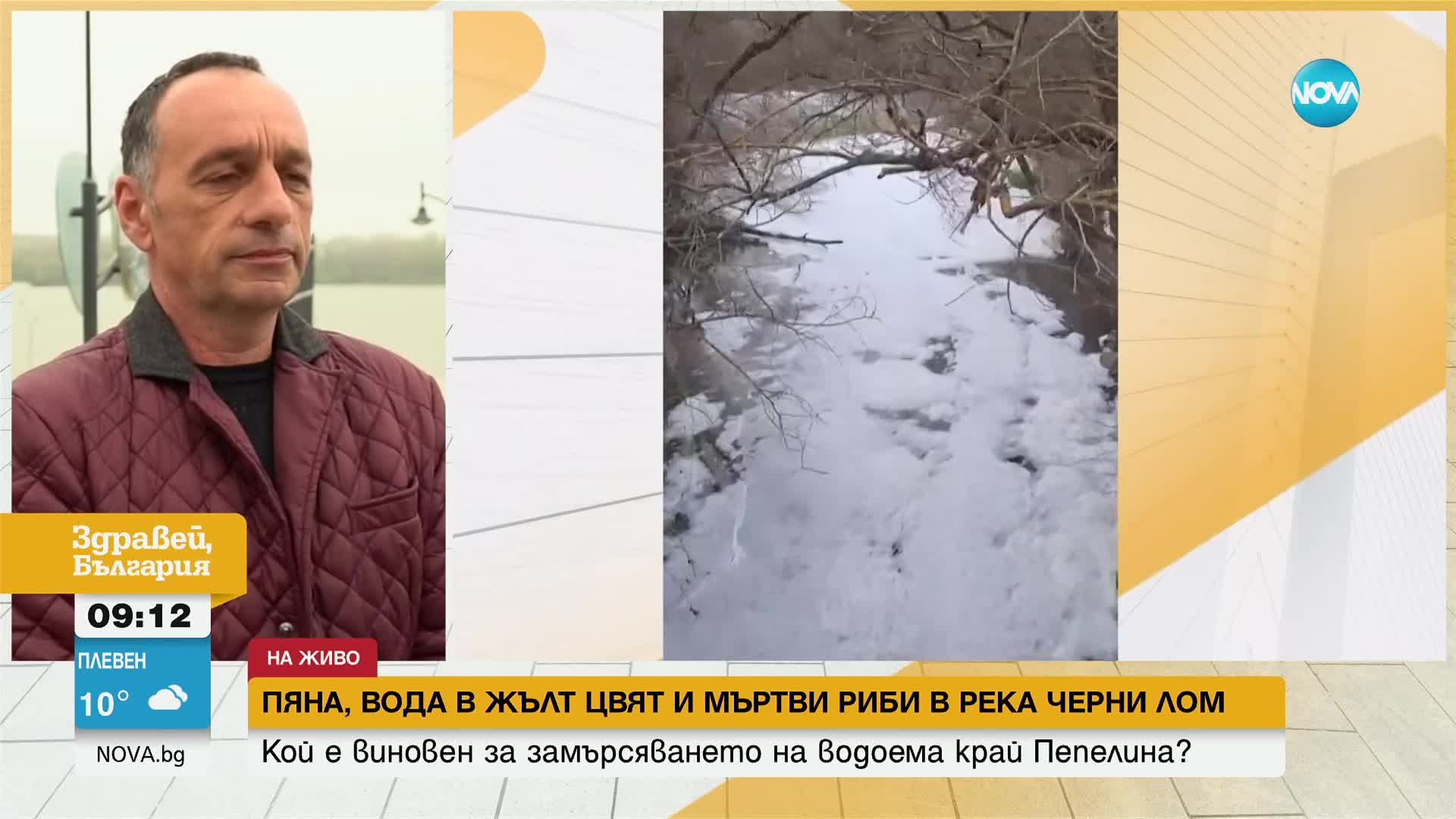 Пяна, жълта вода и силна миризма: Мъртви риби и раци изплуваха в река Черни Лом