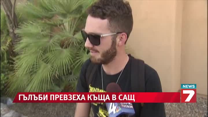 Гълъби окупираха къща