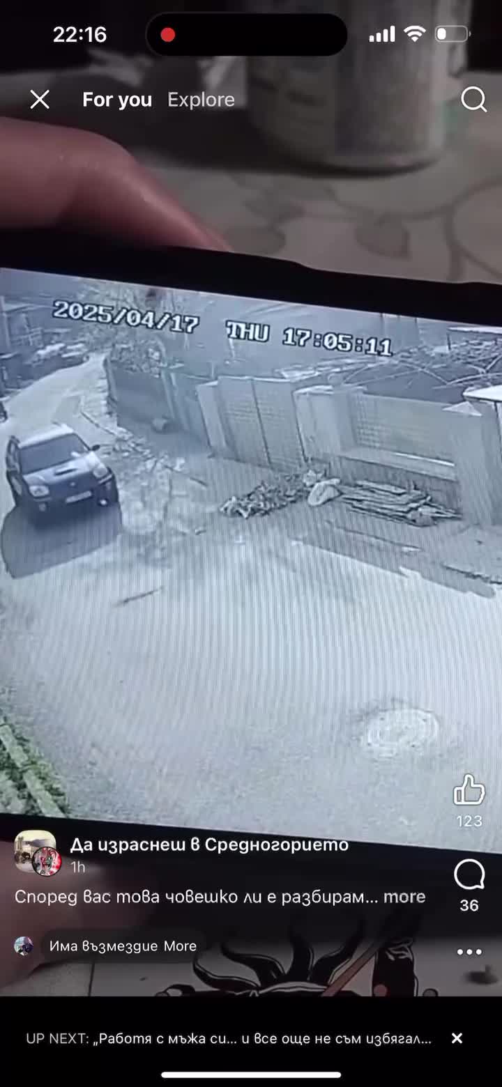 Заснеха изверг да безмилостно да гази куче на улицата!