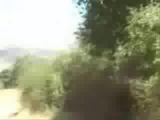 Трябва Да Се Види !!!!